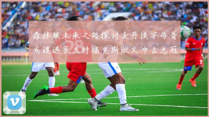 森林狼未来之路探讨麦丹换字母哥或追逐莫兰特福克斯欧文冲击总冠军