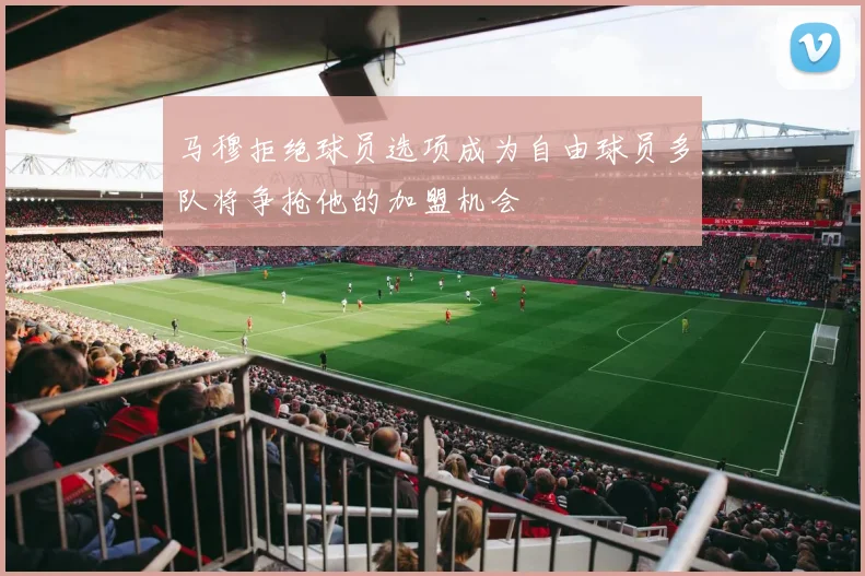 马穆拒绝球员选项成为自由球员多队将争抢他的加盟机会