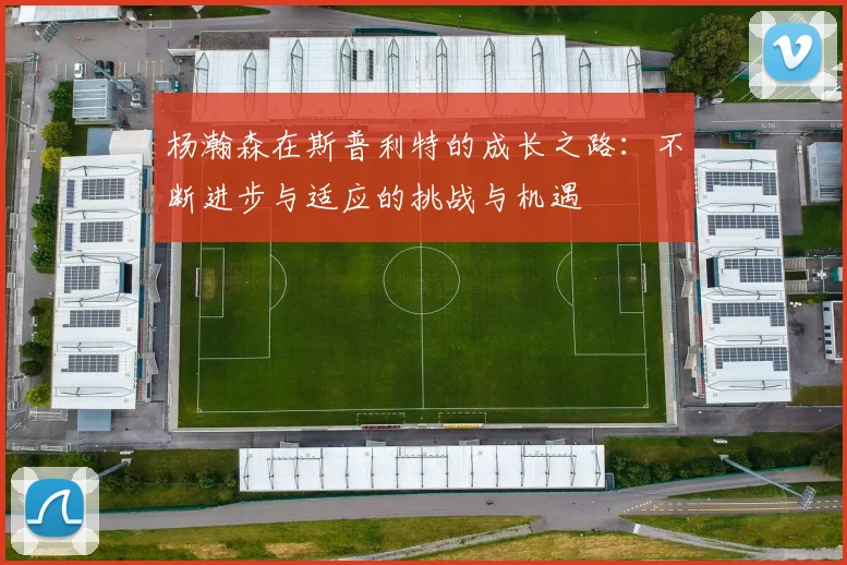 杨瀚森在斯普利特的成长之路：不断进步与适应的挑战与机遇